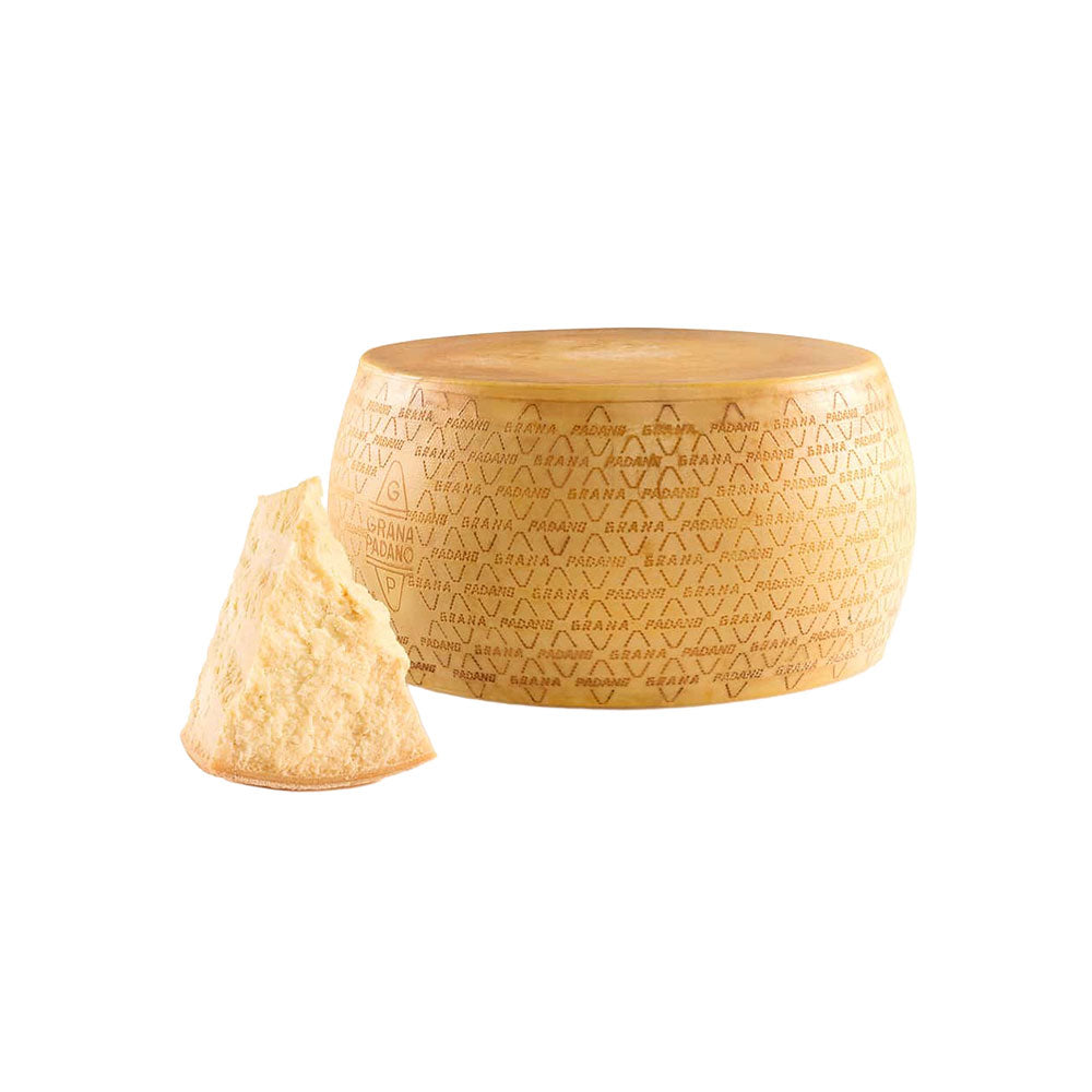 Grana padano cheese barrel with a wedge of cheese on a white background.