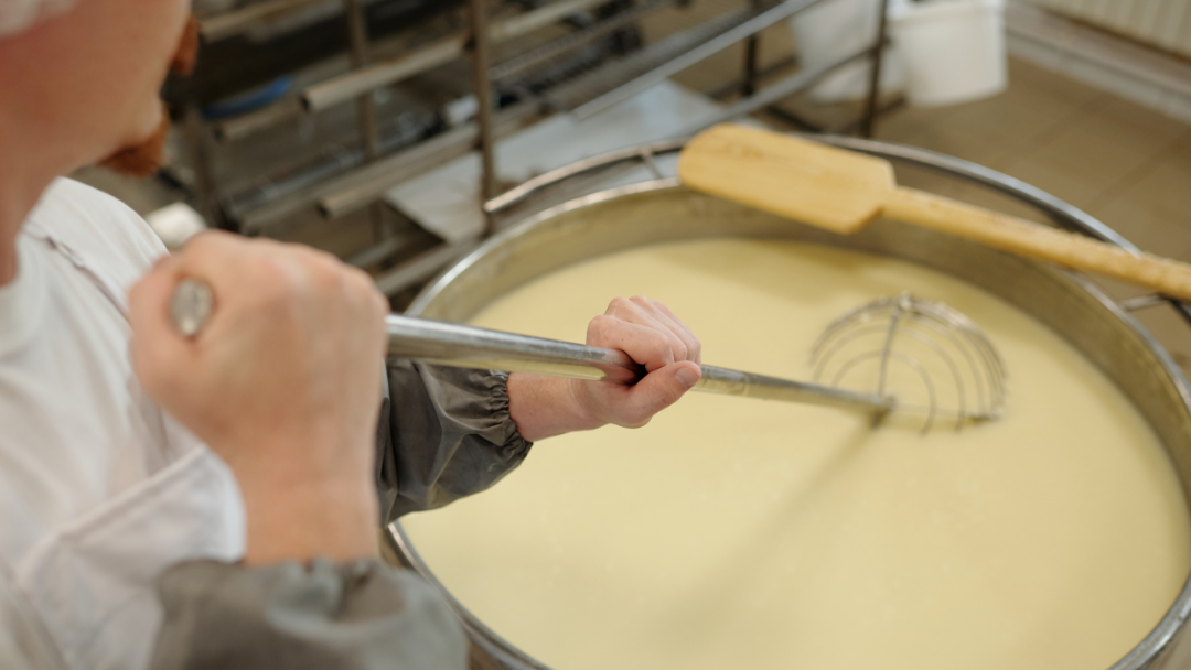The Cheese Man cheesemaking process in a dairy facility, showing curds being stirred in a large vat to develop texture, moisture balance, and structure for artisanal cheese production.