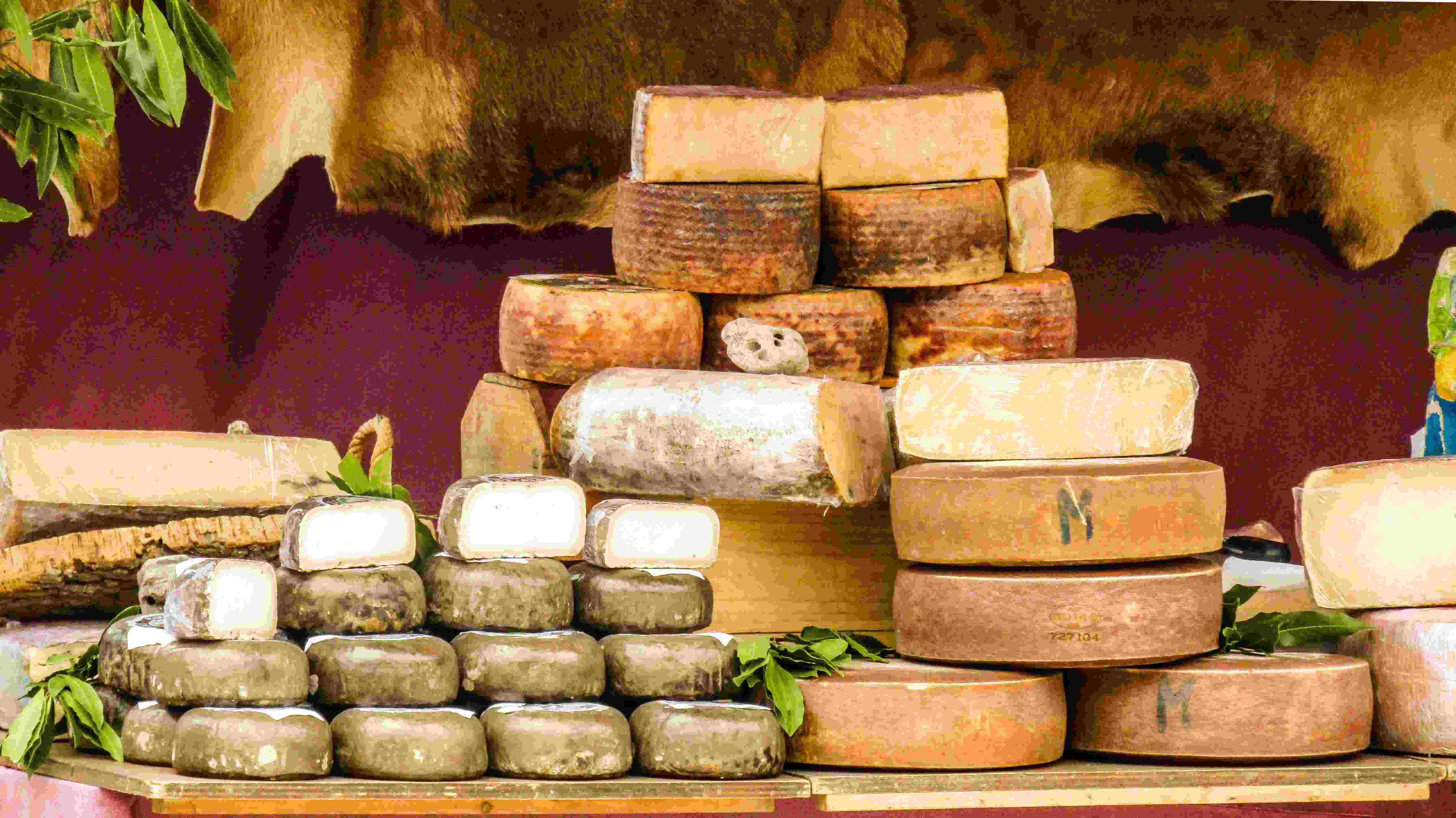 Around the World in Three Cheeses: Italy, UK, and France